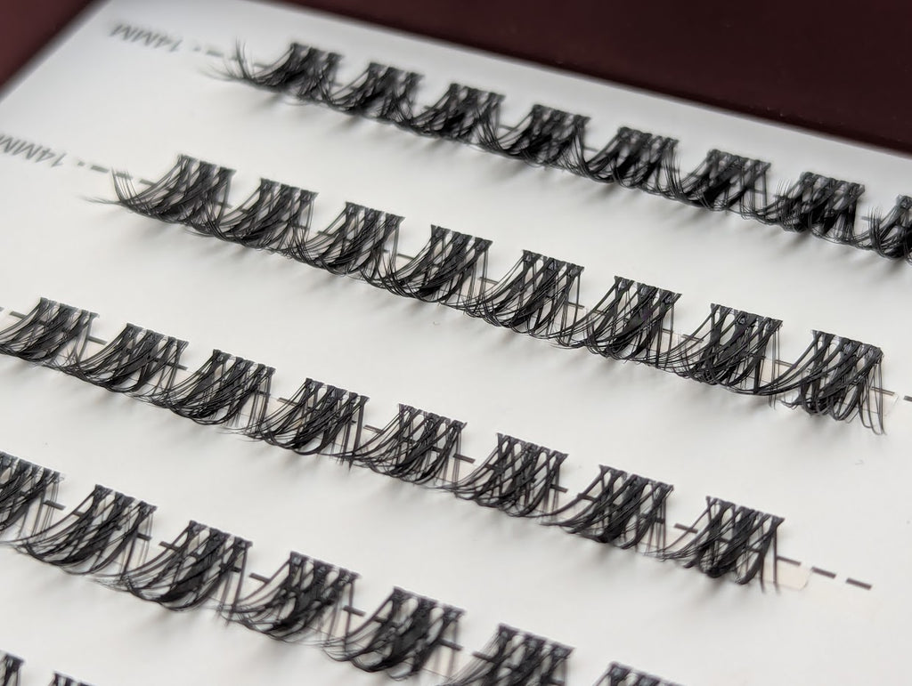 Allure Lash