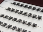 Allure Lash