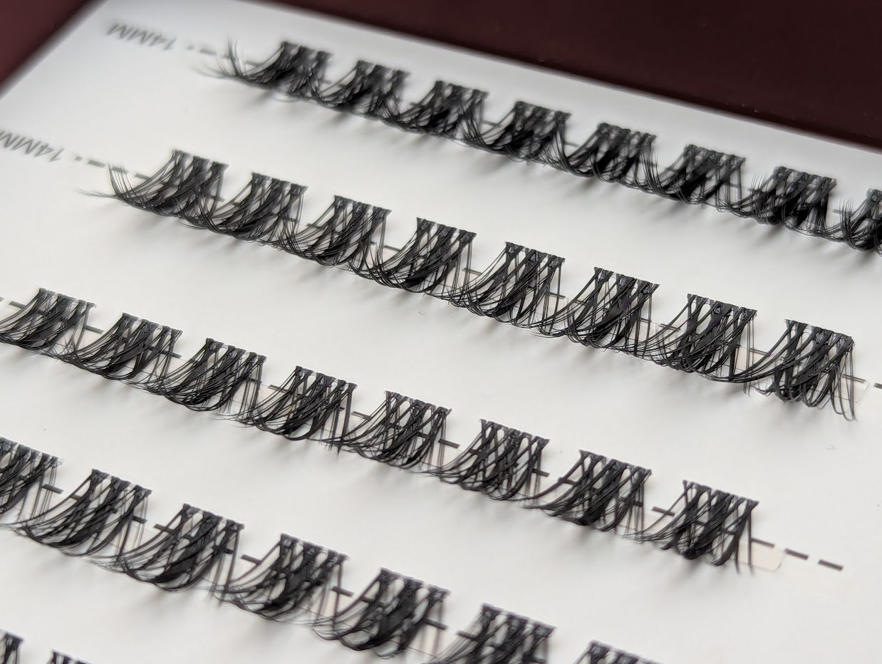 Allure Lash