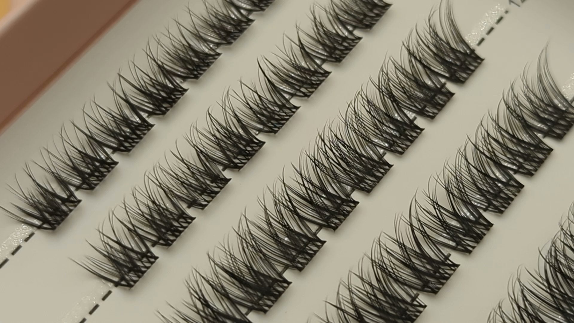 Linger Lash