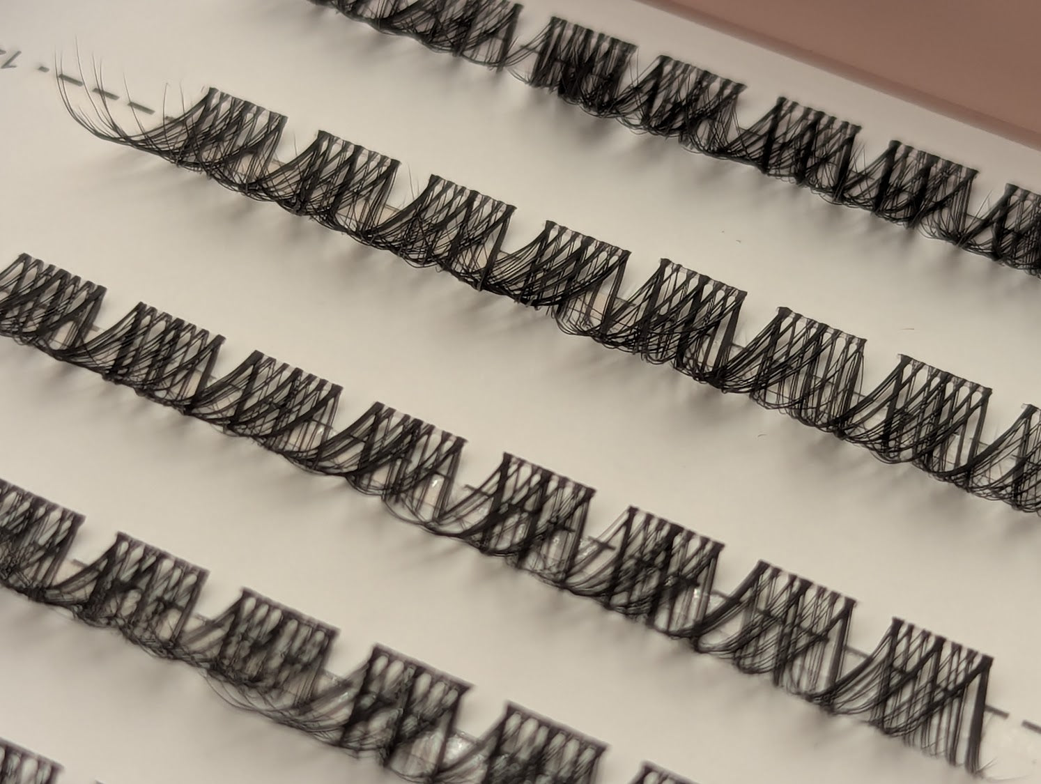 Linger Lash