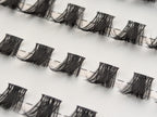 Covet Beauty Control cluster lashes shown close-up with lifted, curved lash clusters arranged in rows.