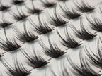 Close-up of Covet Beauty Control cluster lashes showing separated clusters with a lifted curl and defined lash shape.