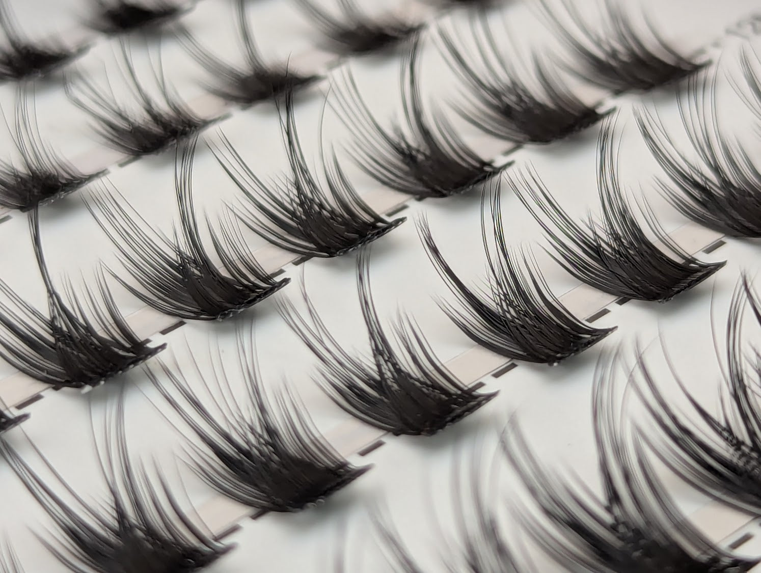 Close-up of Covet Beauty Control cluster lashes showing separated clusters with a lifted curl and defined lash shape.