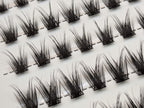 Close-up of Covet Beauty Control cluster lashes showing lifted, separated clusters with a defined lash pattern in the tray.