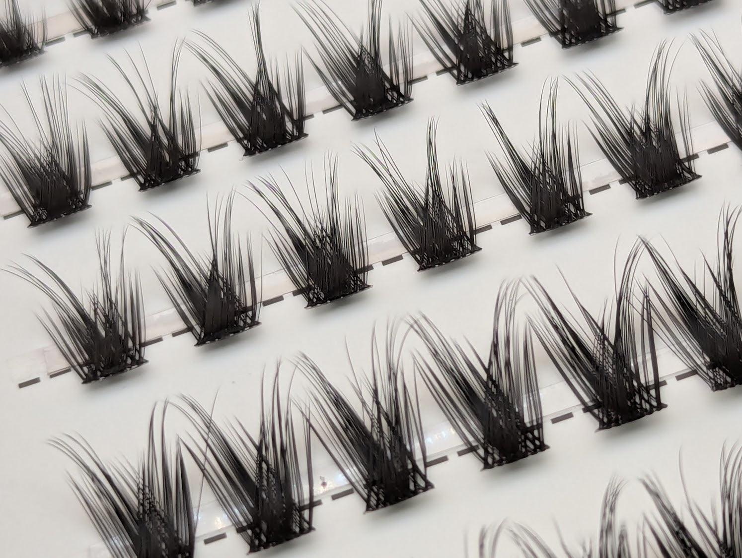Close-up of Covet Beauty Control cluster lashes showing lifted, separated clusters with a defined lash pattern in the tray.