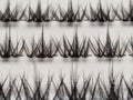 Covet Beauty Vision cluster lashes shown close-up with a soft, airy crisscross lash pattern in the tray.
