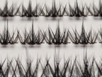 Covet Beauty Vision cluster lashes shown close-up with a soft, airy crisscross lash pattern in the tray.