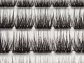 Covet Beauty Velvet cluster lashes shown close-up with a dense, defined crisscross lash pattern in the tray.