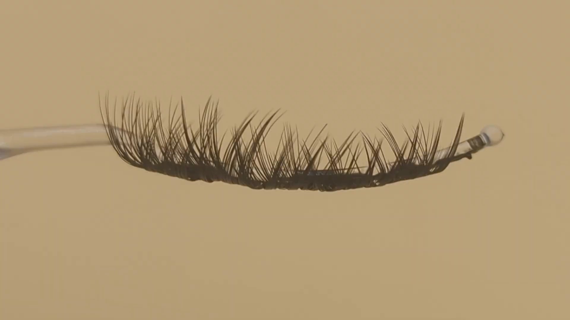 Covet Beauty Obsession cluster lashes shown on a display wand, moving up and down to highlight the curl, volume, and crisscross pattern.
