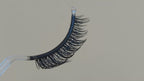 Allure Lash