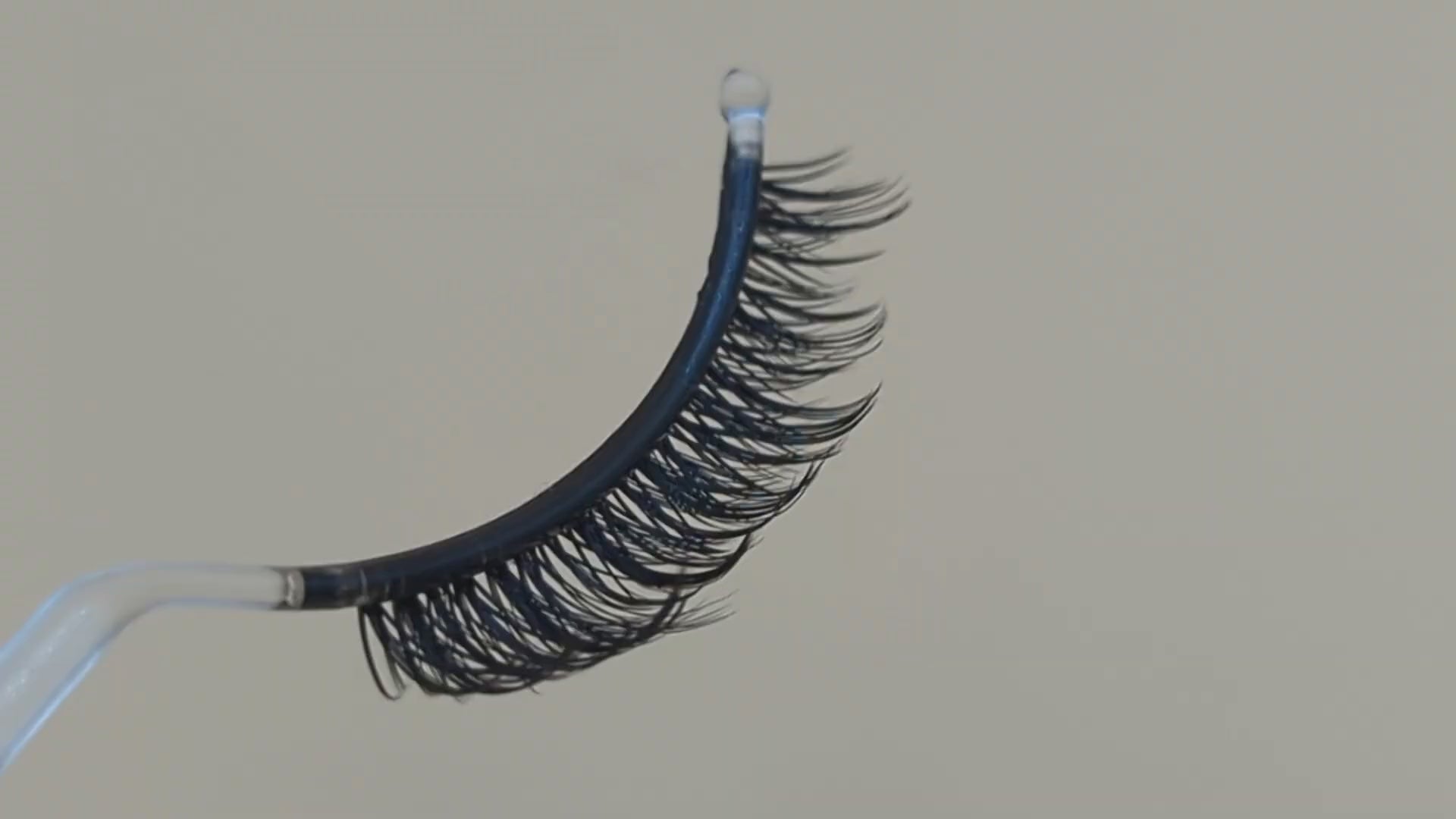 Allure Lash