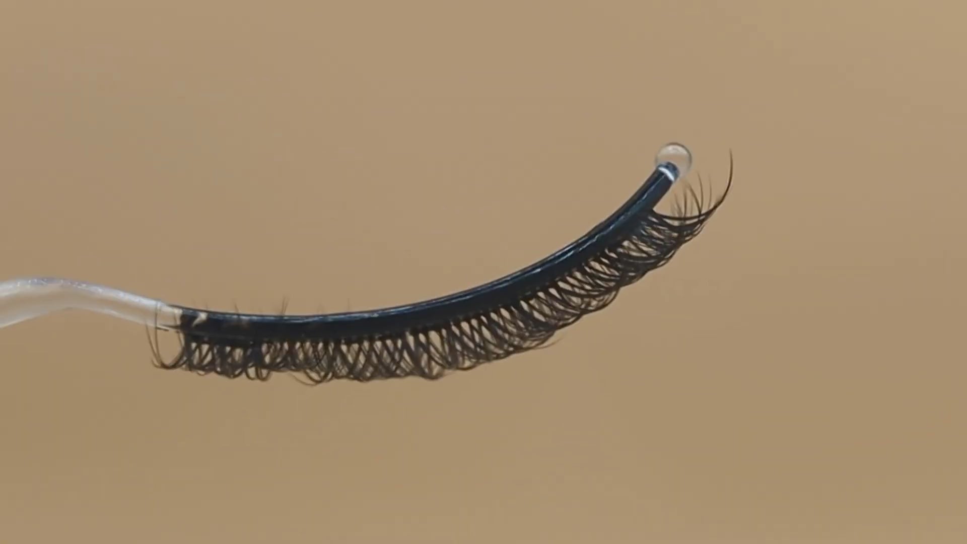 Linger Lash