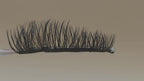 Covet Beauty Hush cluster lashes shown on a display wand, moving up and down to highlight the soft curl and wispy crisscross pattern.