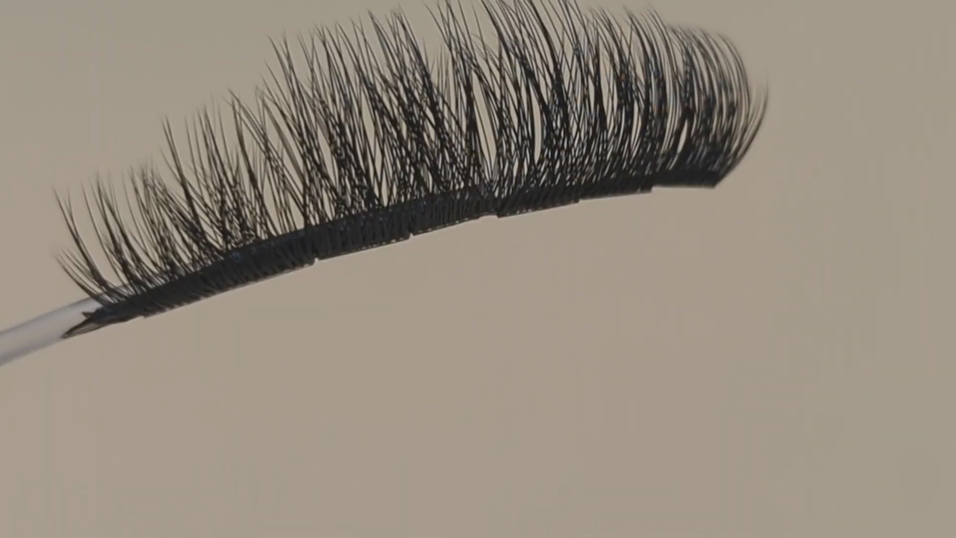Covet Beauty Trance cluster lashes shown on a display wand, moving up and down to highlight the soft curl and wispy crisscross lash pattern.