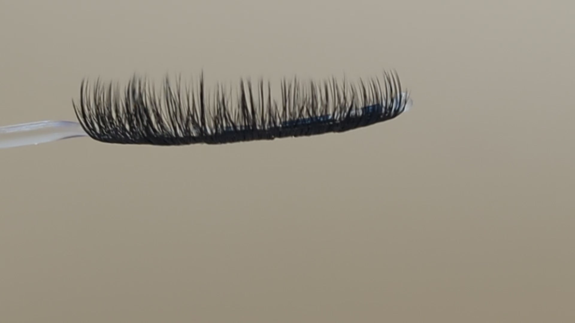 Covet Beauty Velvet cluster lashes on a display wand, moving up and down to show the curl, density, and wet-lash inspired finish.