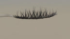 Covet Beauty Vision cluster lashes shown on a display wand, moving up and down to highlight the soft curl and airy crisscross pattern.