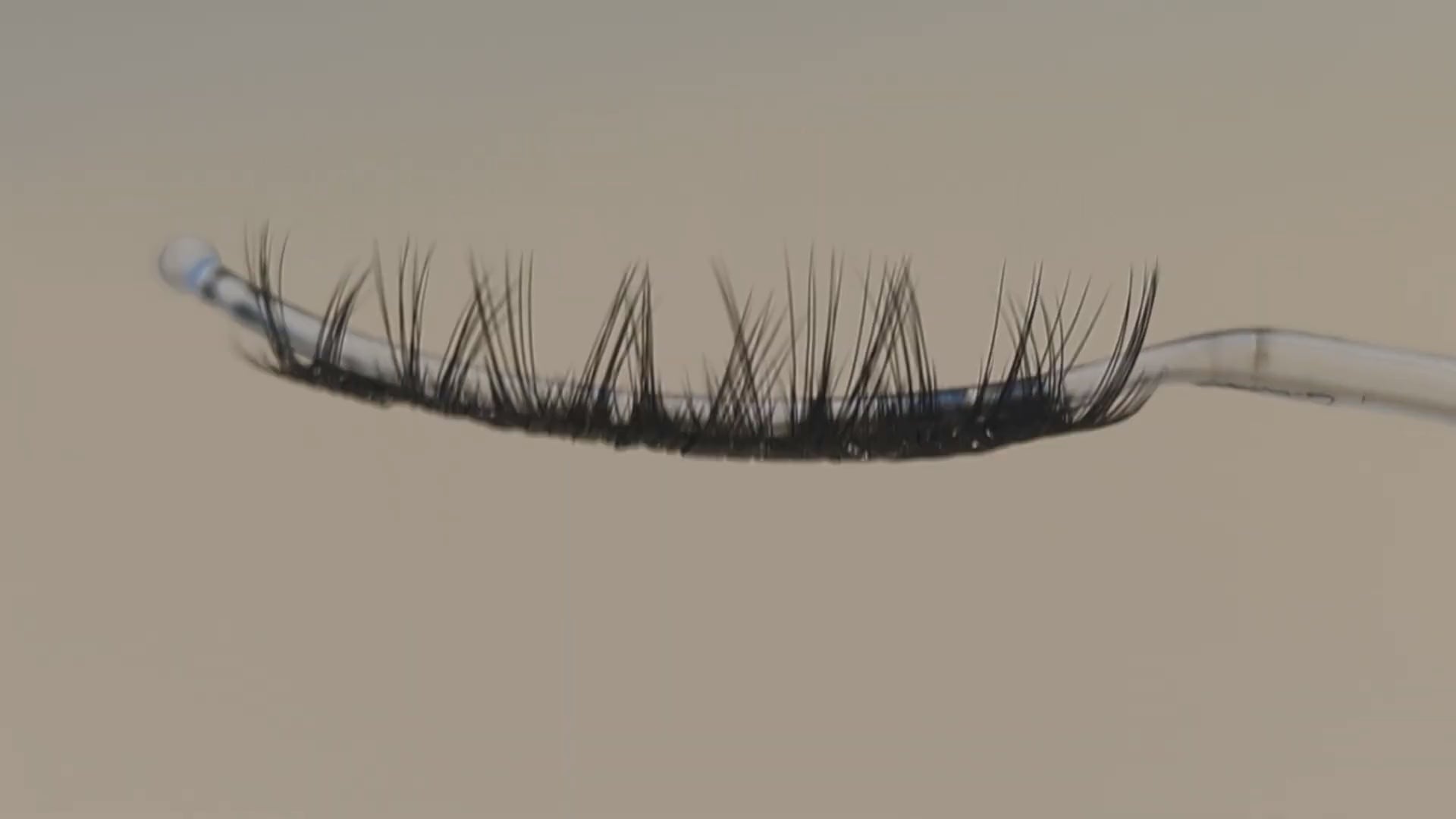 Covet Beauty Control cluster lashes on a moving display wand showing structured lift, curl, and separated lash fibers.